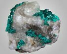Emerald-Green Dioptase Cluster - Kazakhstan #34967-1